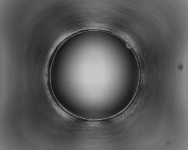 X0000100861136200806201210