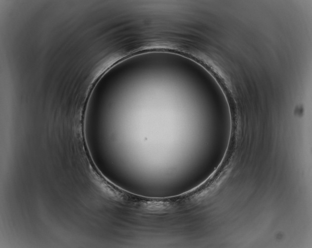 X0000100861137200806201210