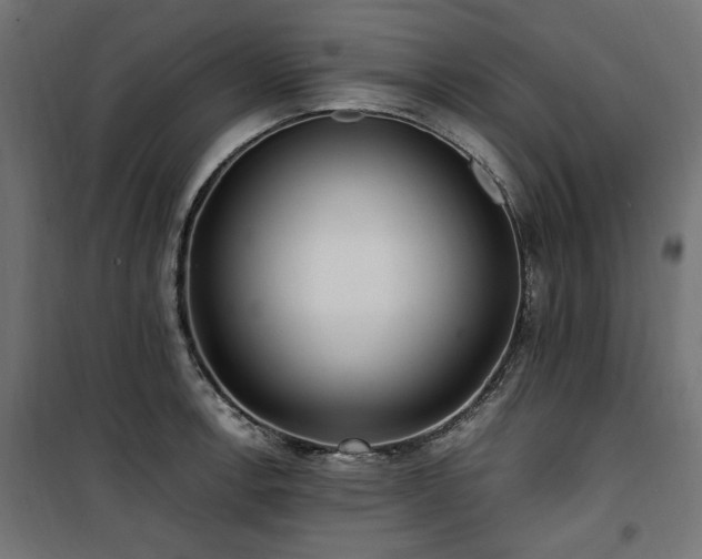 X0000100861138200806201210