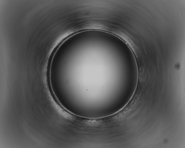 X0000100861139200806201210