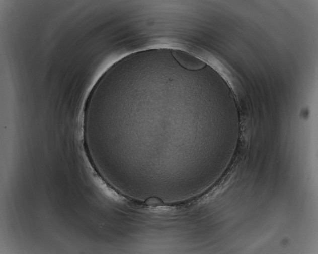 X0000100861140200806201211