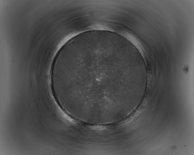 X0000100861141200806201211