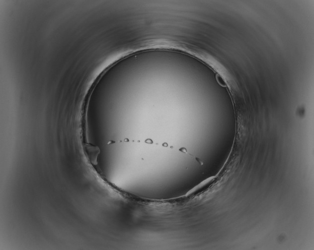 X0000100861142200806201211