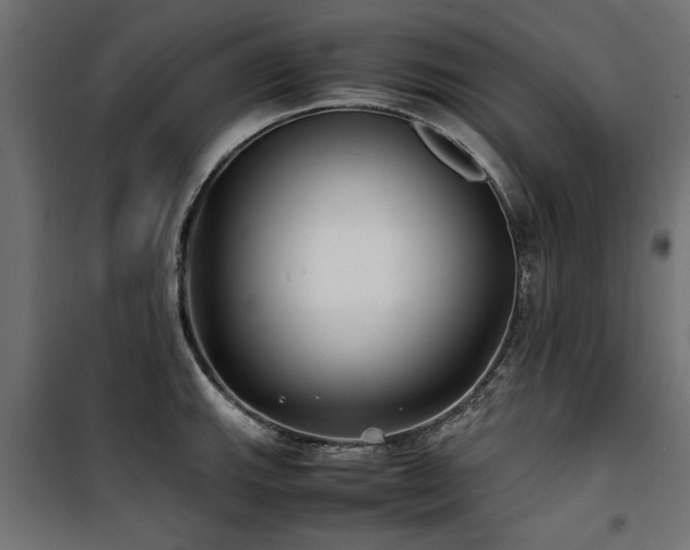 X0000100861143200806201211