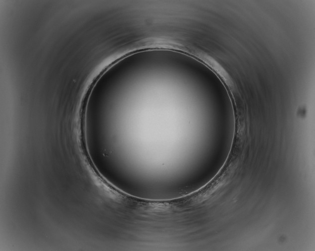 X0000100861144200806201211