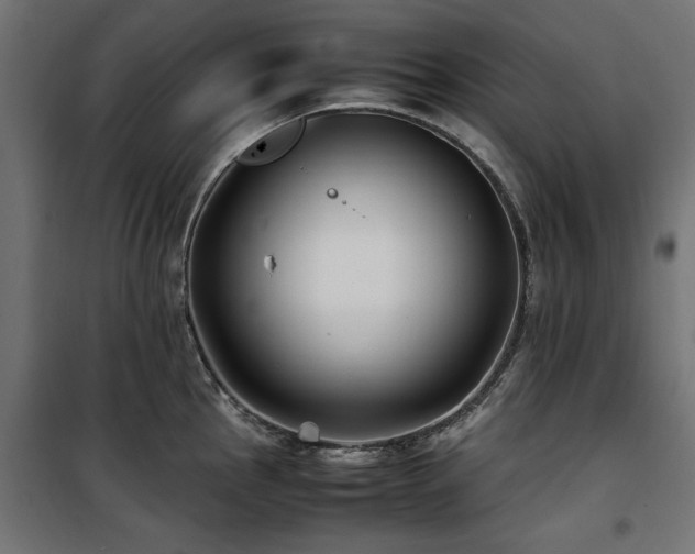 X0000100861145200806201211