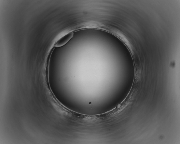 X0000100861146200806201211