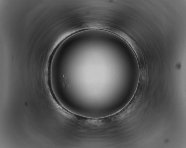 X0000100861147200806201211