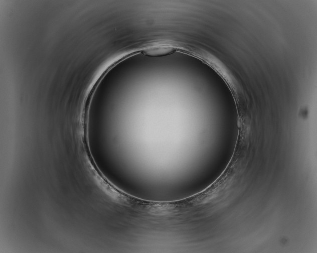 X0000100861148200806201211