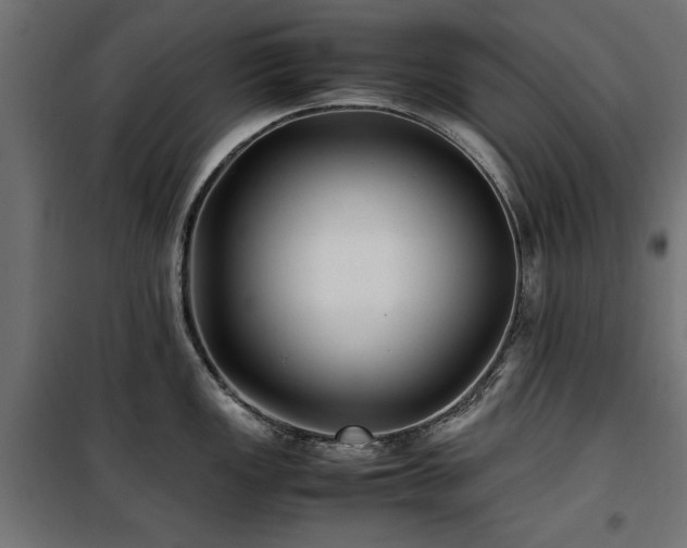 X0000100861149200806201211