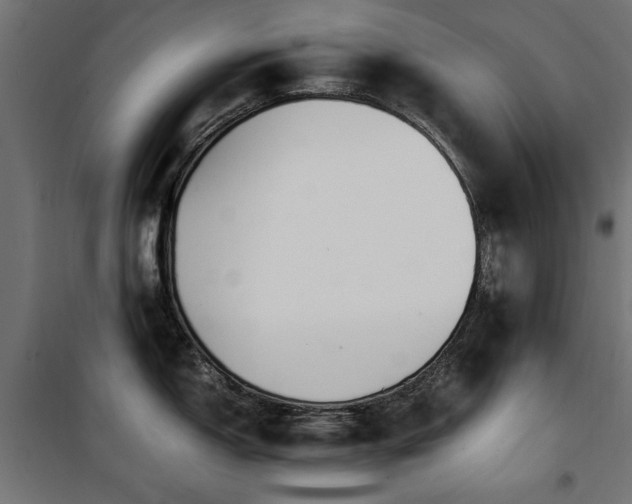 X0000100861150200806201211