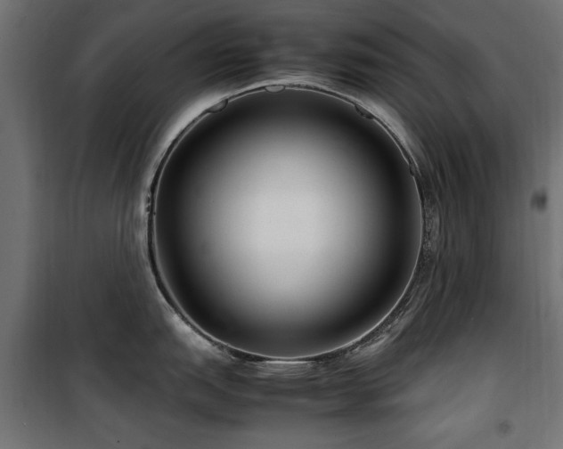 X0000100861151200806201211