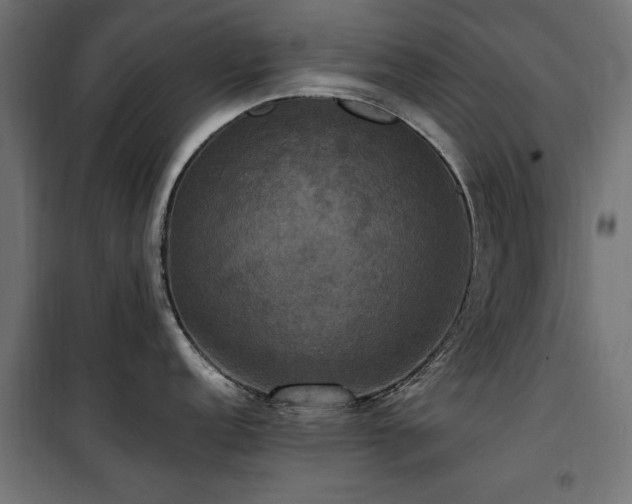 X0000100861152200806201211