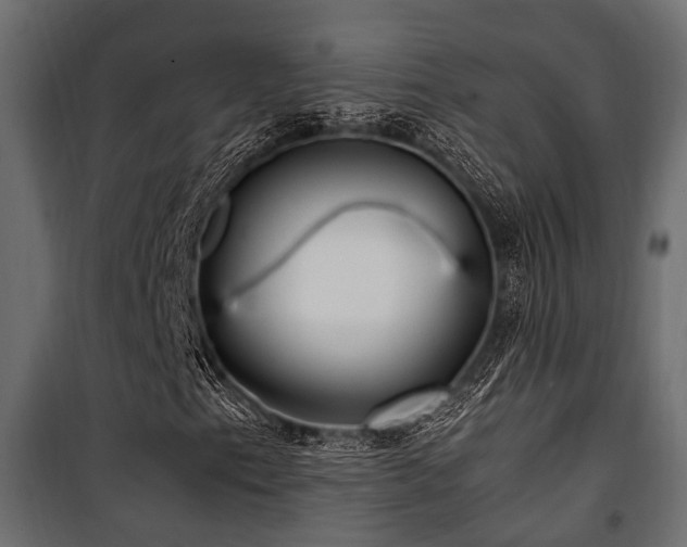 X0000100861153200806201210