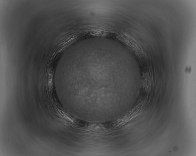 X0000100861154200806201210