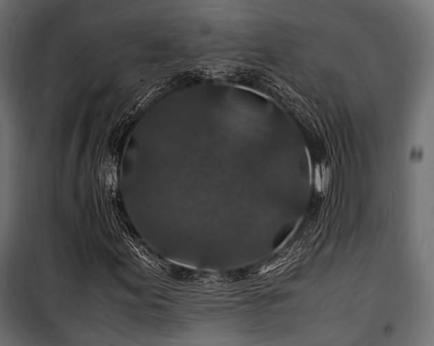 X0000100861155200806201210