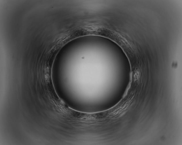 X0000100861156200806201210