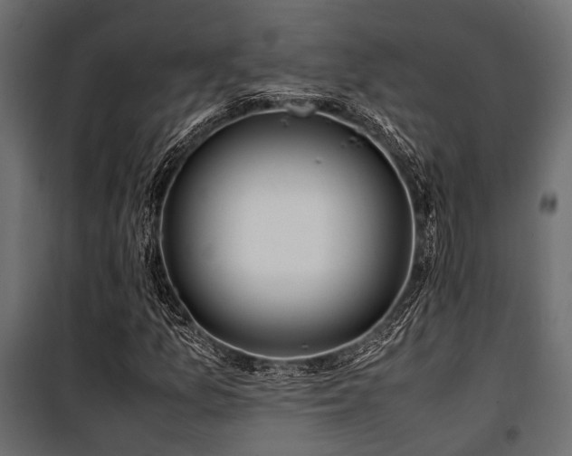 X0000100861157200806201210