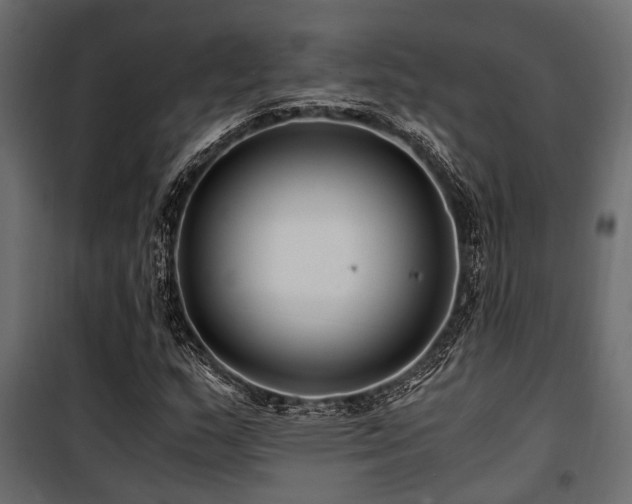 X0000100861159200806201210