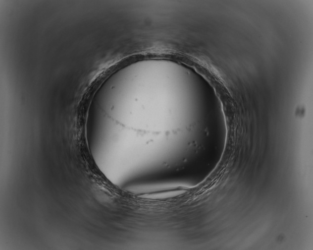 X0000100861160200806201210