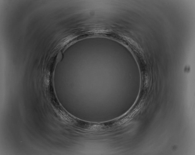 X0000100861161200806201210