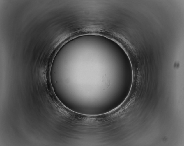 X0000100861162200806201210