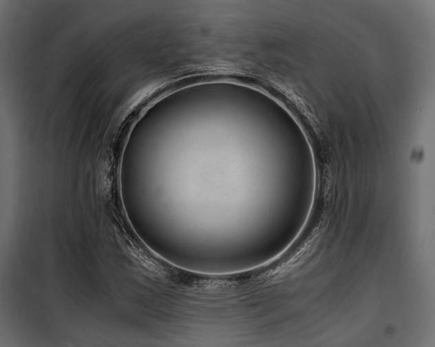 X0000100861163200806201210