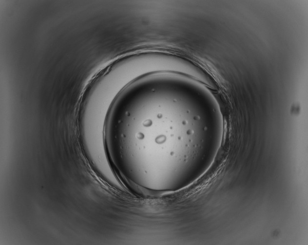 X0000100861164200806201210