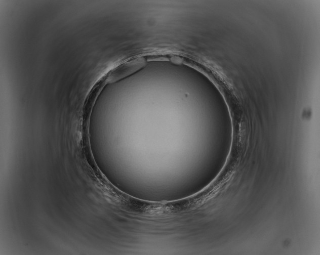 X0000100861165200806201210