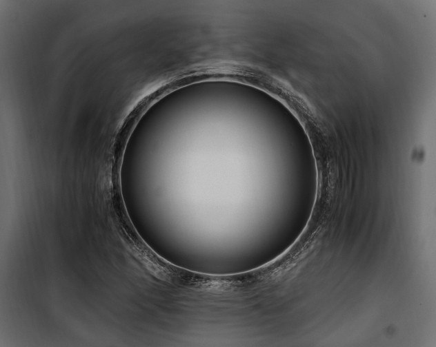 X0000100861166200806201210