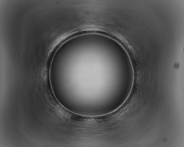 X0000100861167200806201210