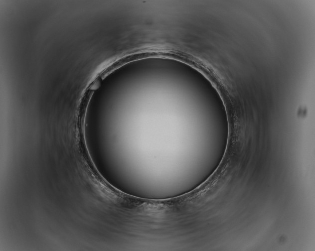 X0000100861168200806201210