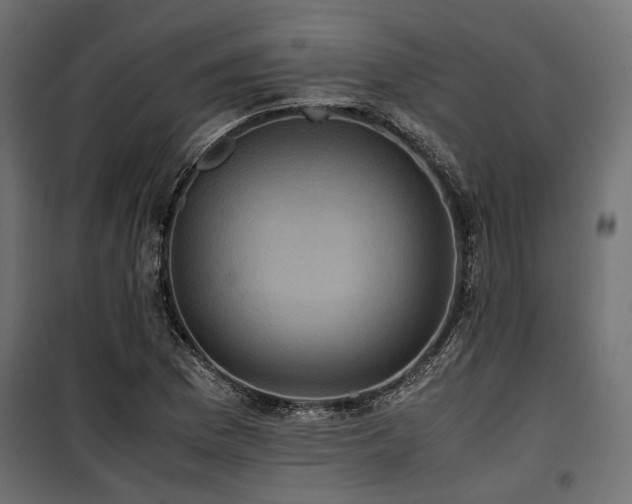 X0000100861169200806201210