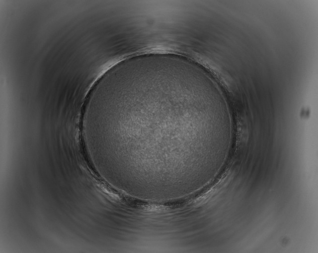 X0000100861170200806201210