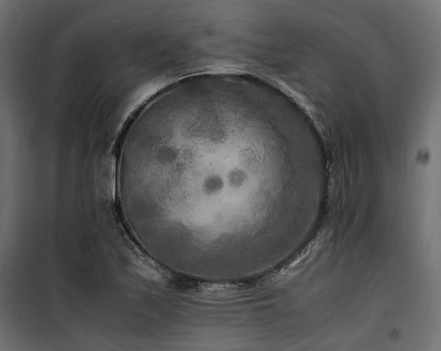 X0000100861171200806201210