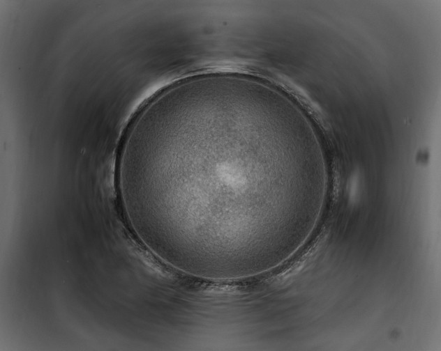 X0000100861174200806201210