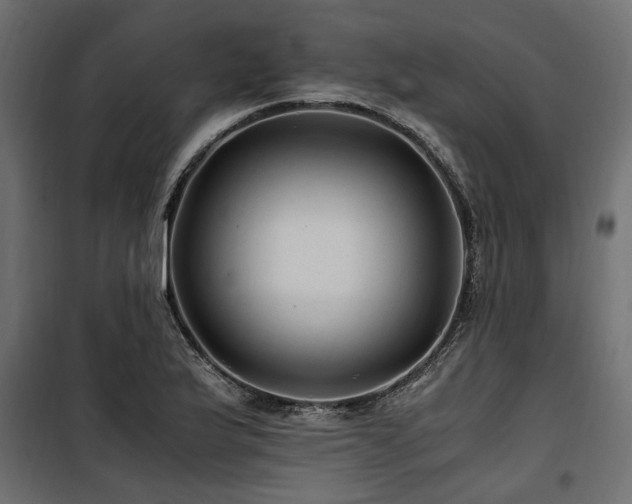 X0000100861175200806201210