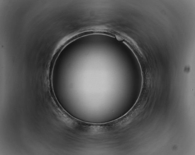 X0000100861176200806201210