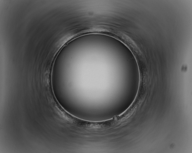 X0000100861177200806201210