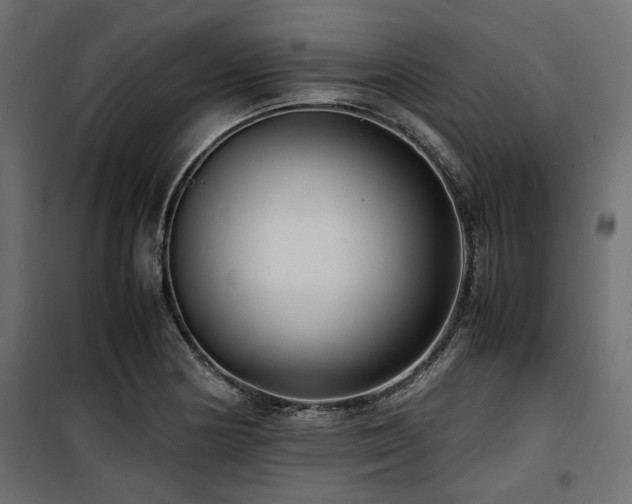 X0000100861178200806201210