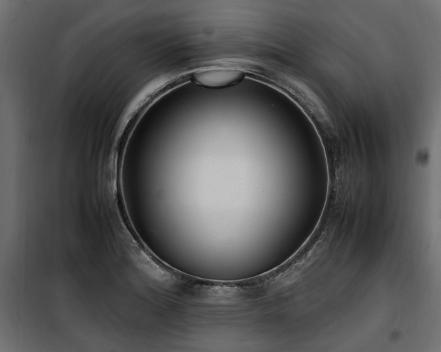 X0000100861180200806201209