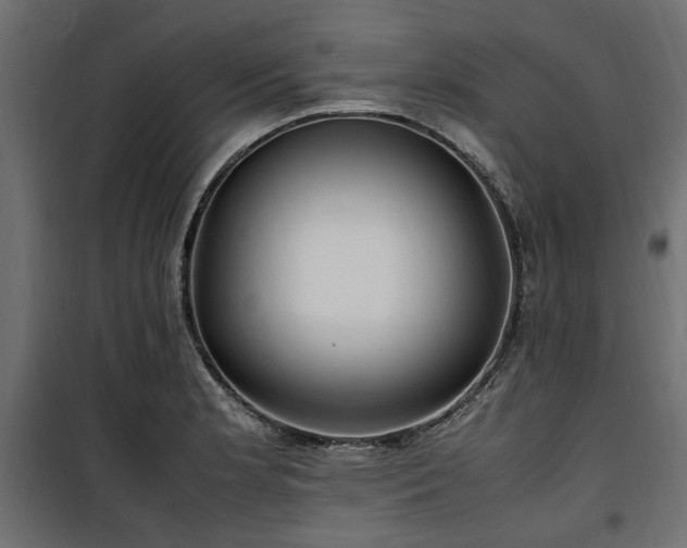 X0000100861181200806201209