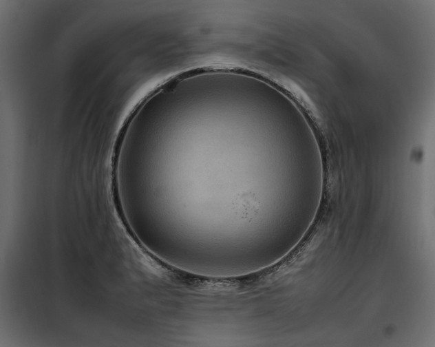 X0000100861183200806201209