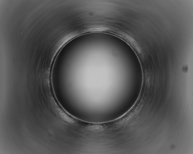 X0000100861186200806201209