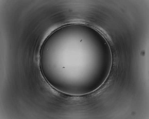 X0000100861188200806201209