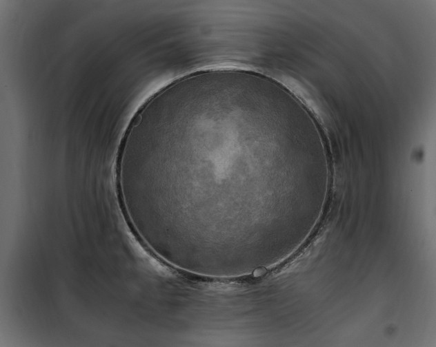 X0000100861189200806201209