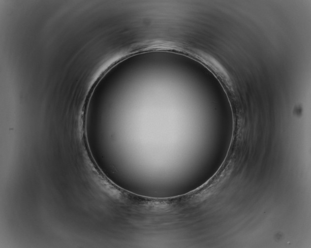 X0000100861190200806201209