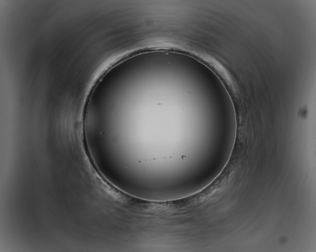 X0000100861191200806201209