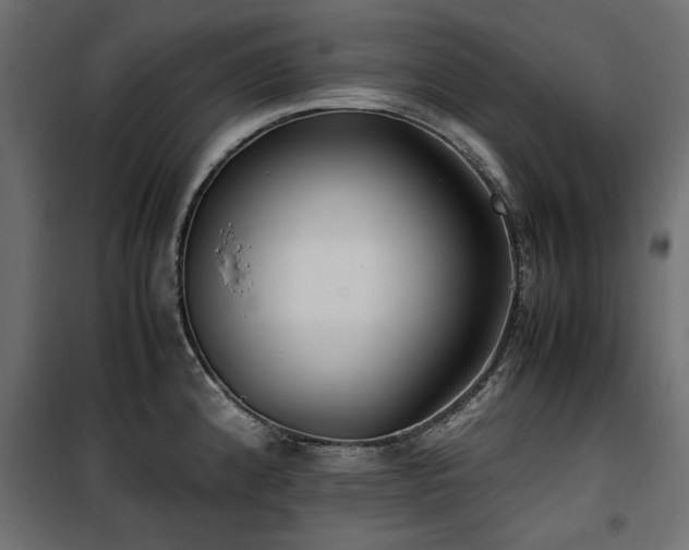 X0000100861192200806201209