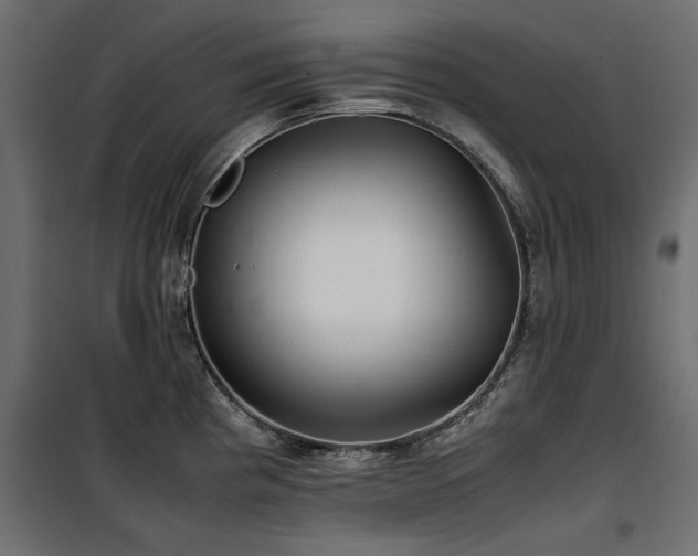 X0000100861193200806201209